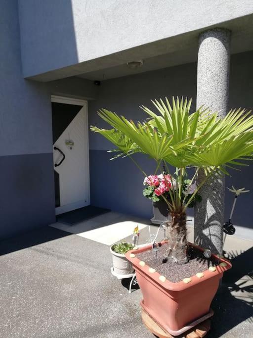 Appartement Agreable Hagenau Exterior foto