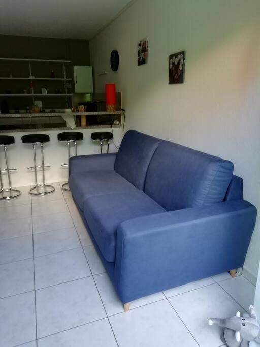 Appartement Agreable Hagenau Exterior foto