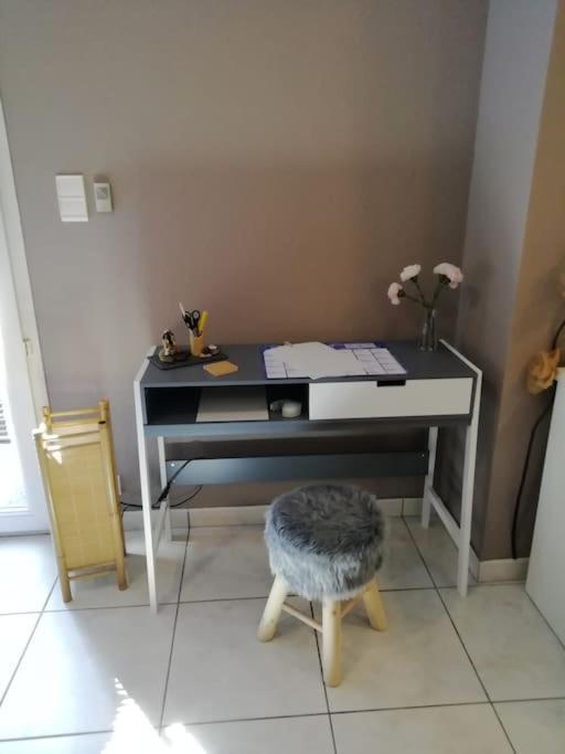 Appartement Agreable Hagenau Exterior foto